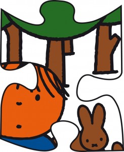 klimaatpuzzel